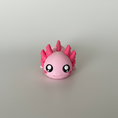 Allie the Axolotl