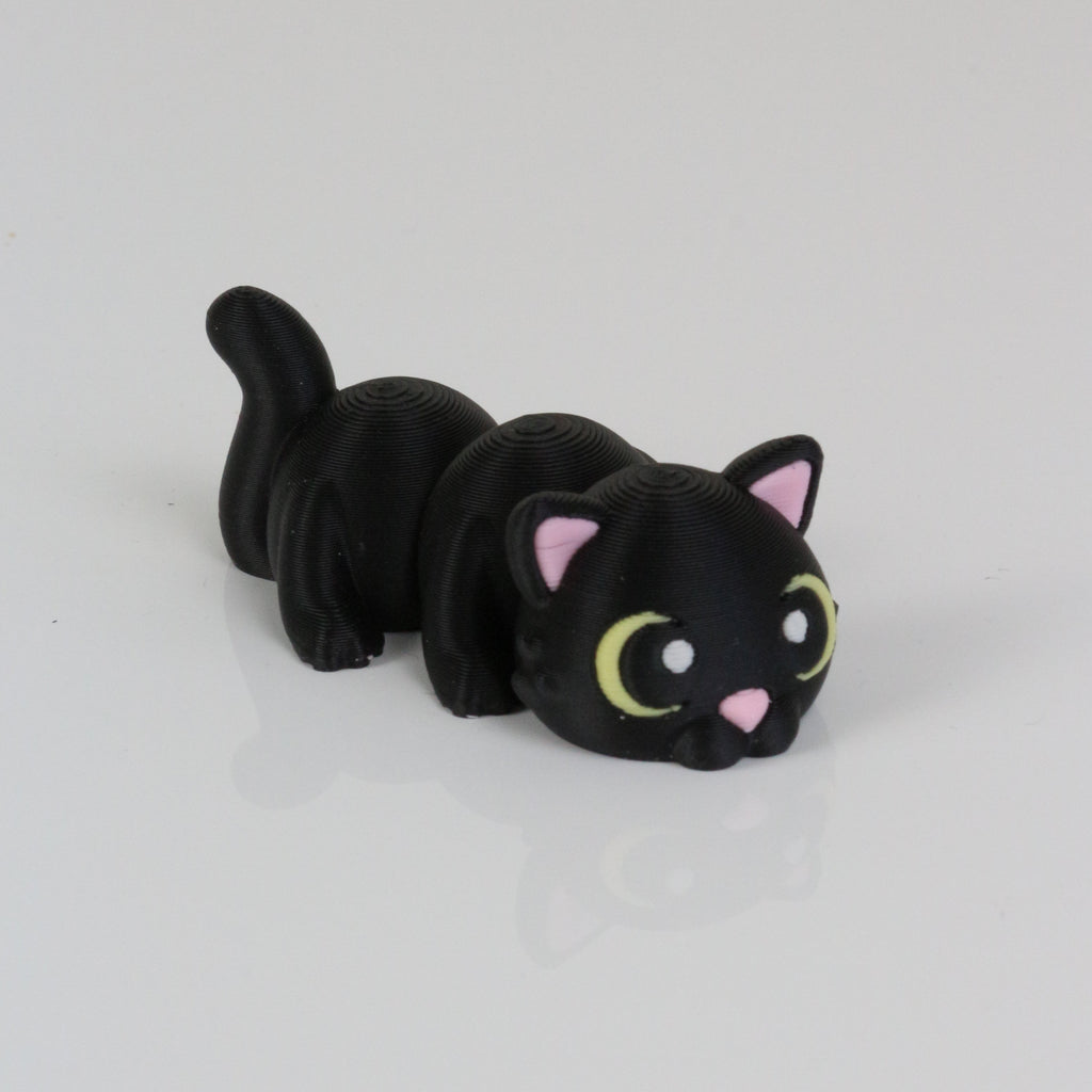 Cleo the Cat