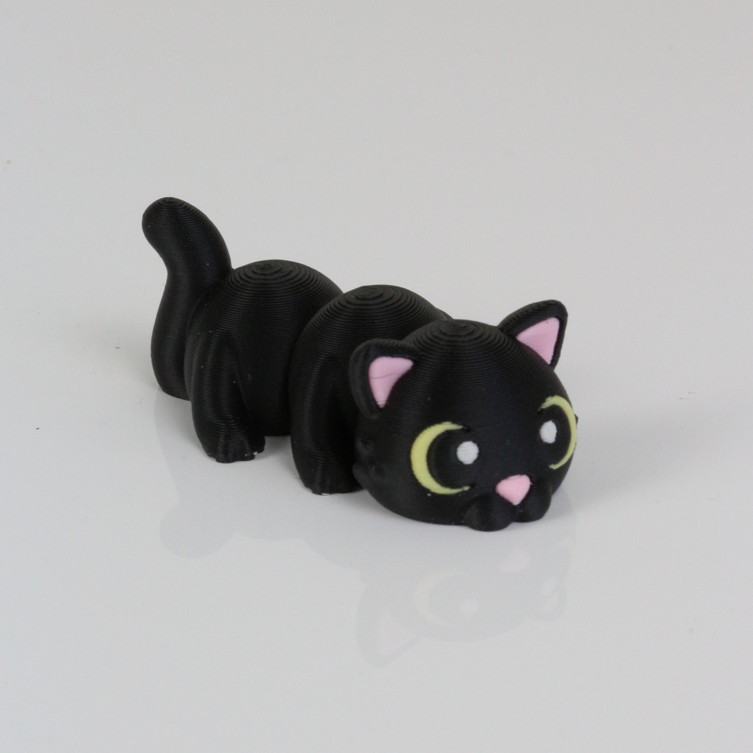 Cleo the Cat