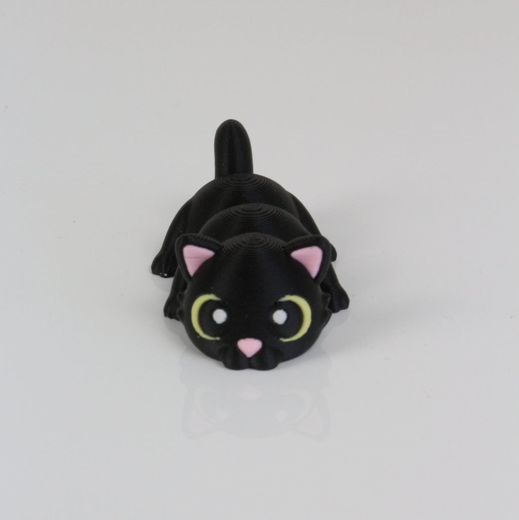 Cleo the Cat