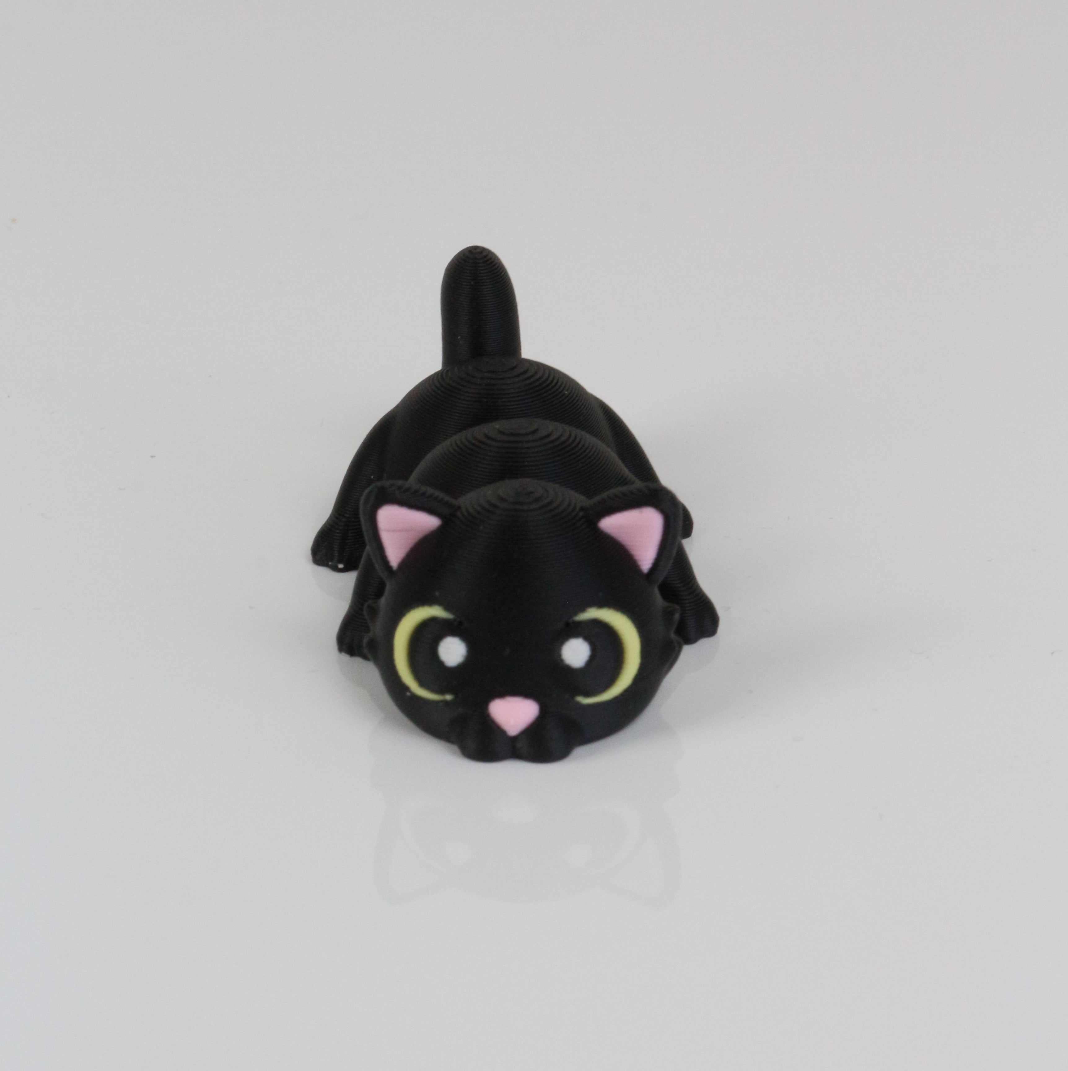 Cleo the Cat
