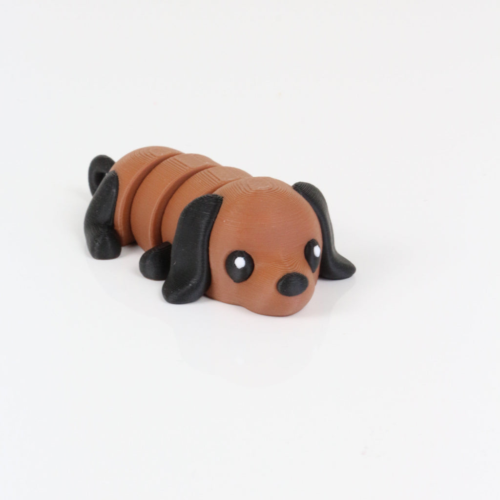Doug the Dachshund