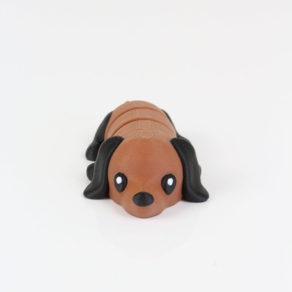 Doug the Dachshund