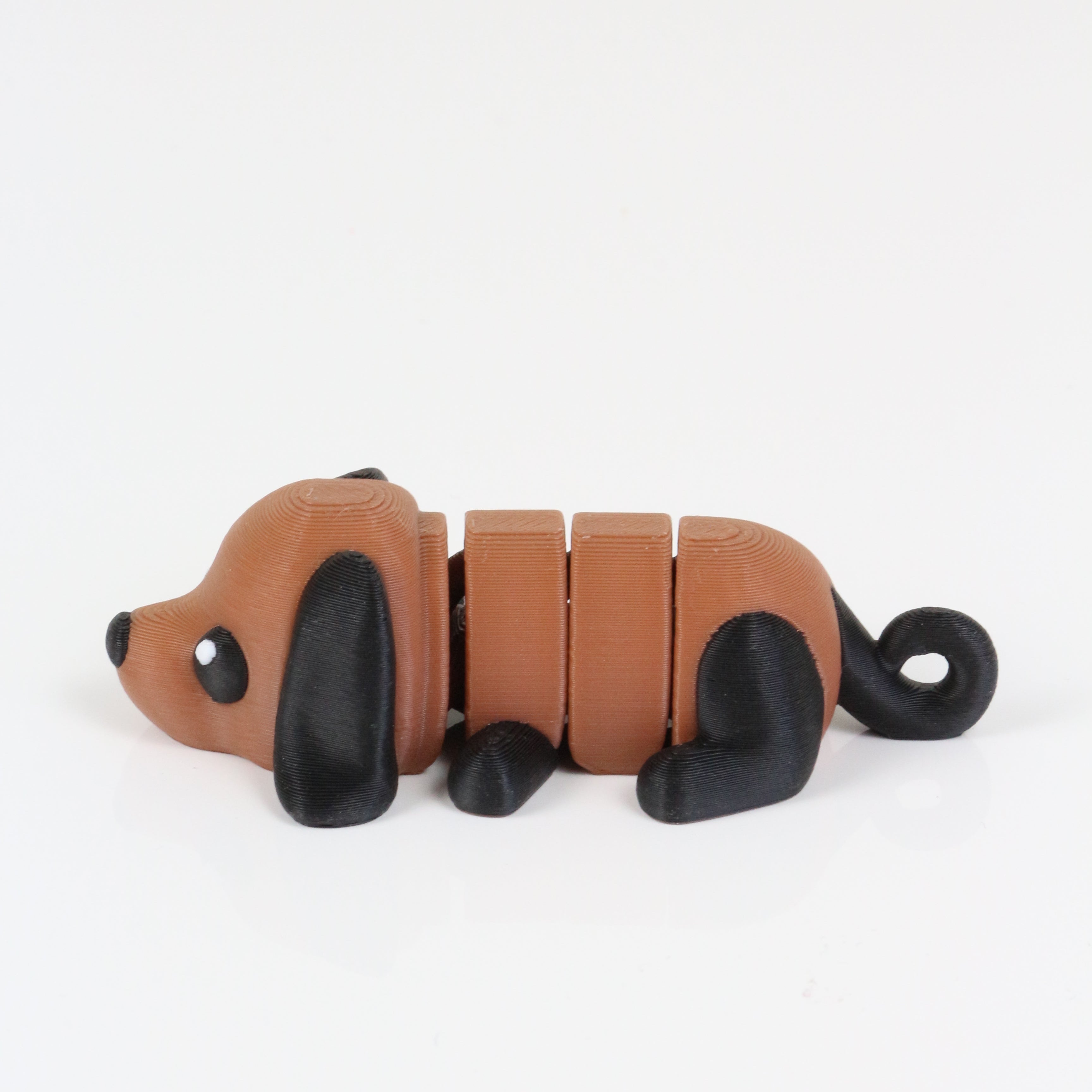 Doug the Dachshund