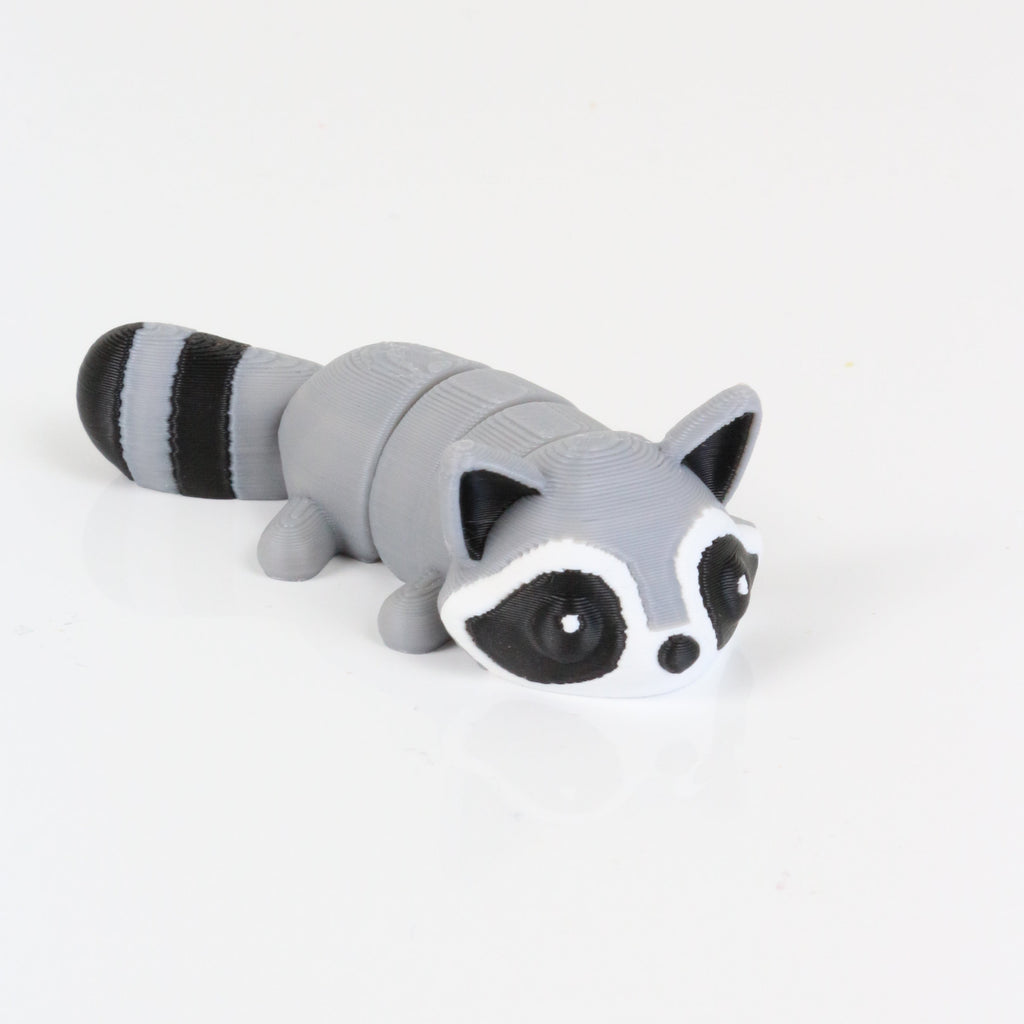 Rocco the Raccoon