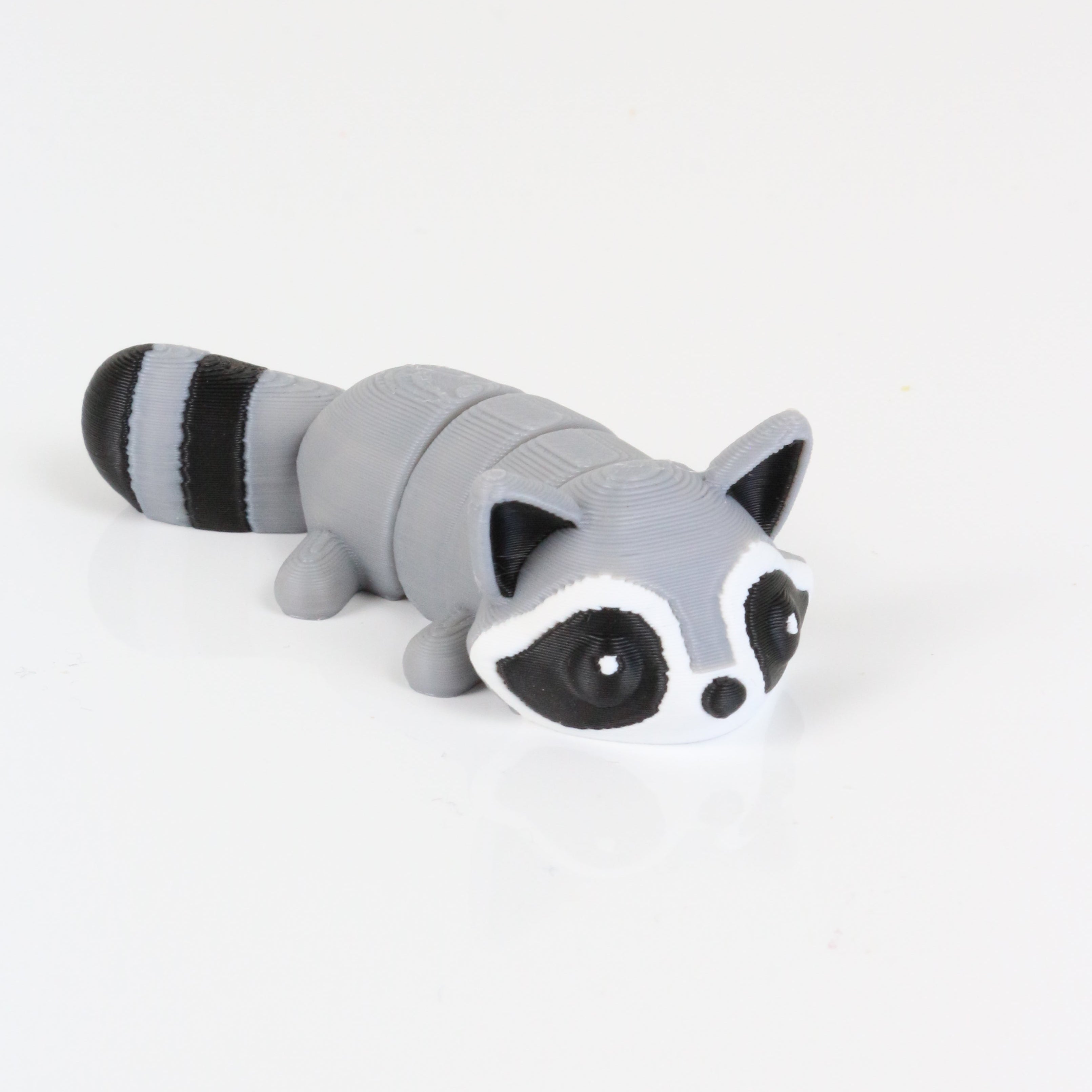 Rocco the Raccoon