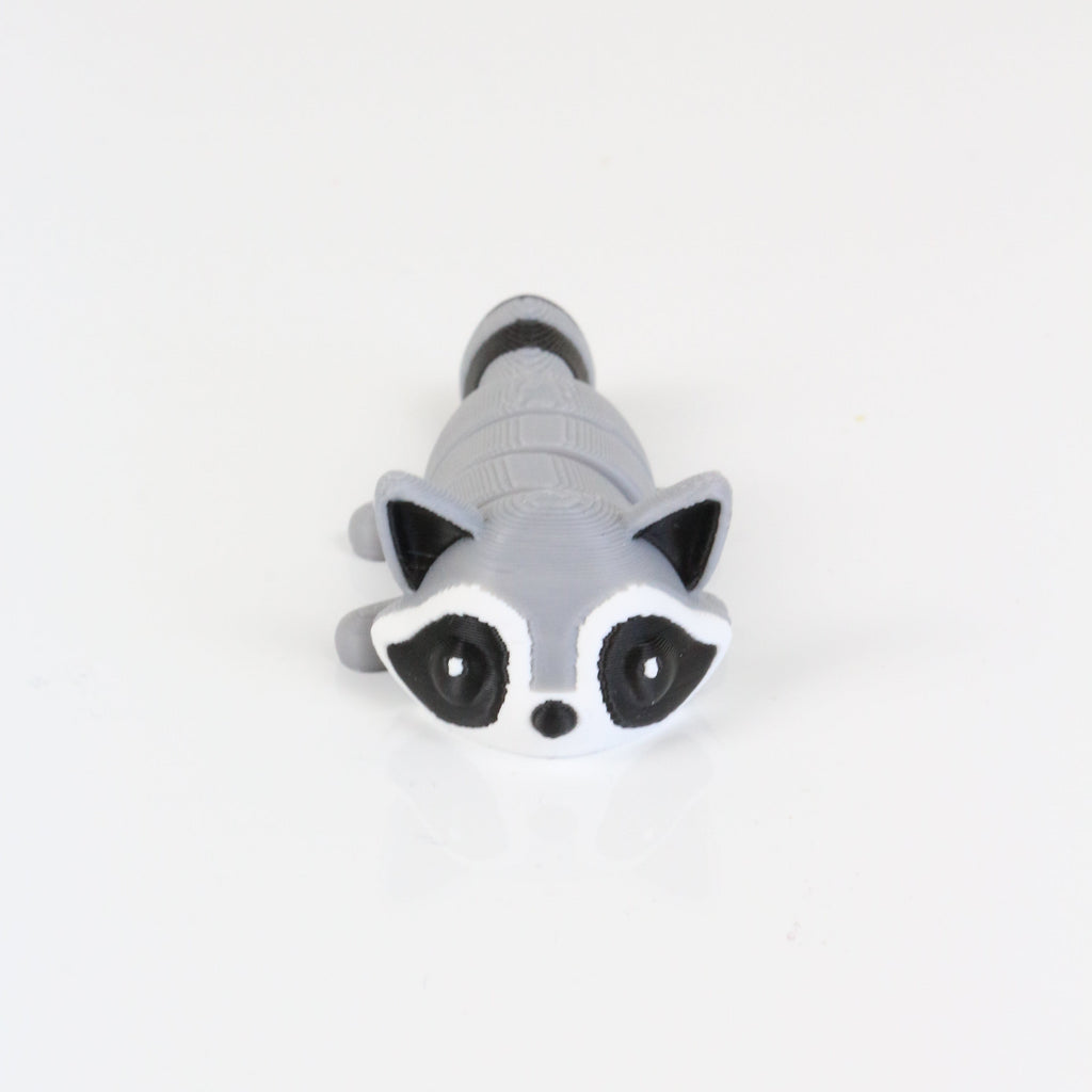 Rocco the Raccoon