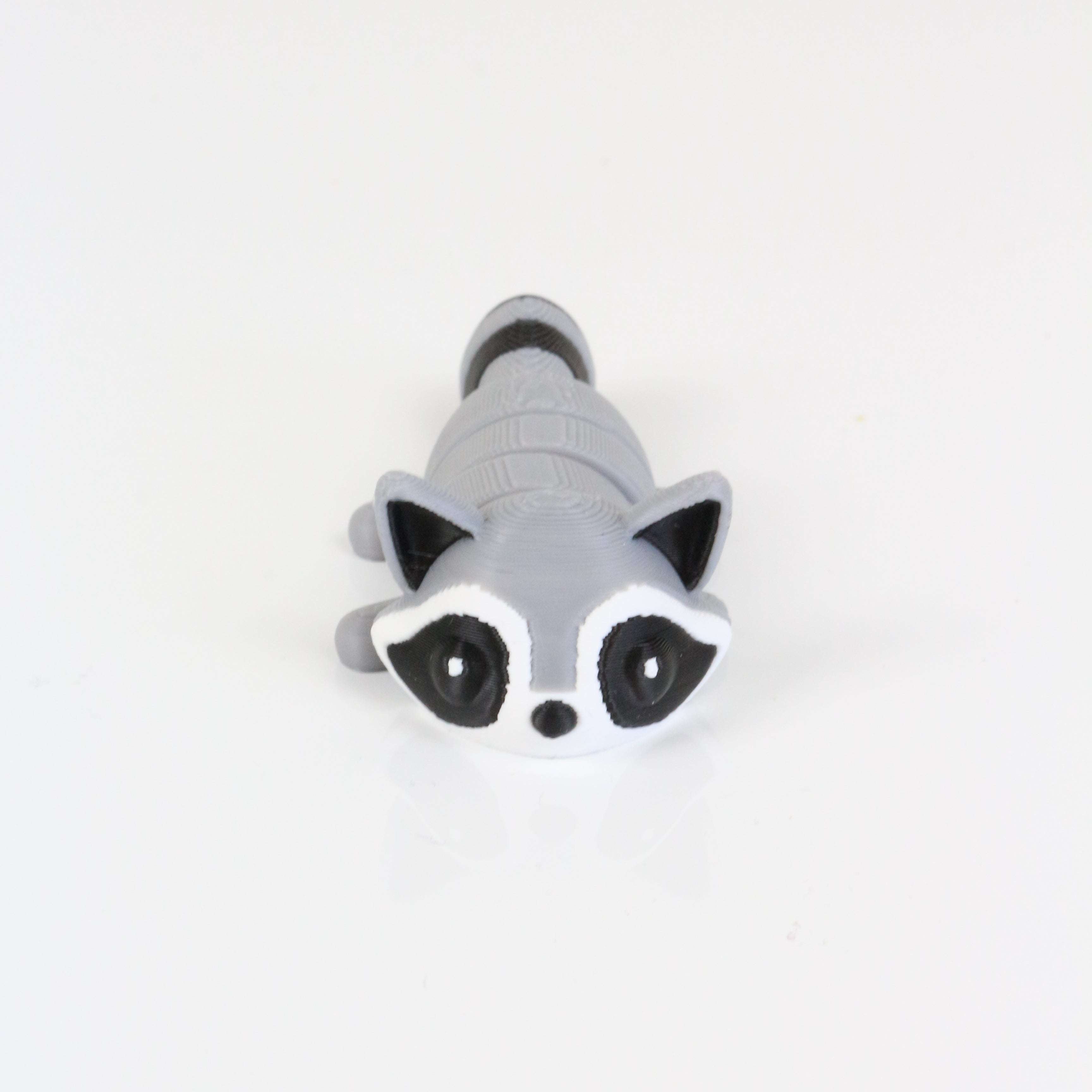 Rocco the Raccoon