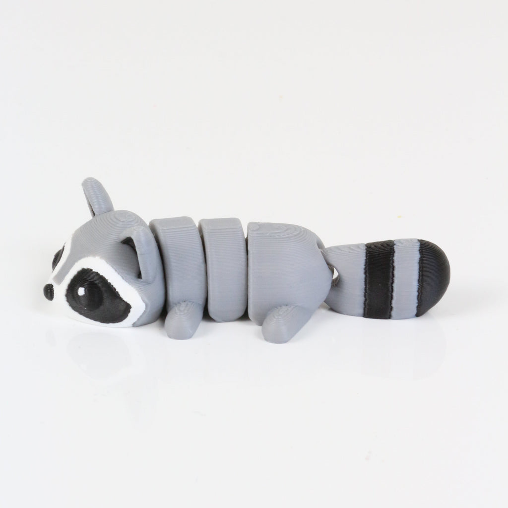 Rocco the Raccoon