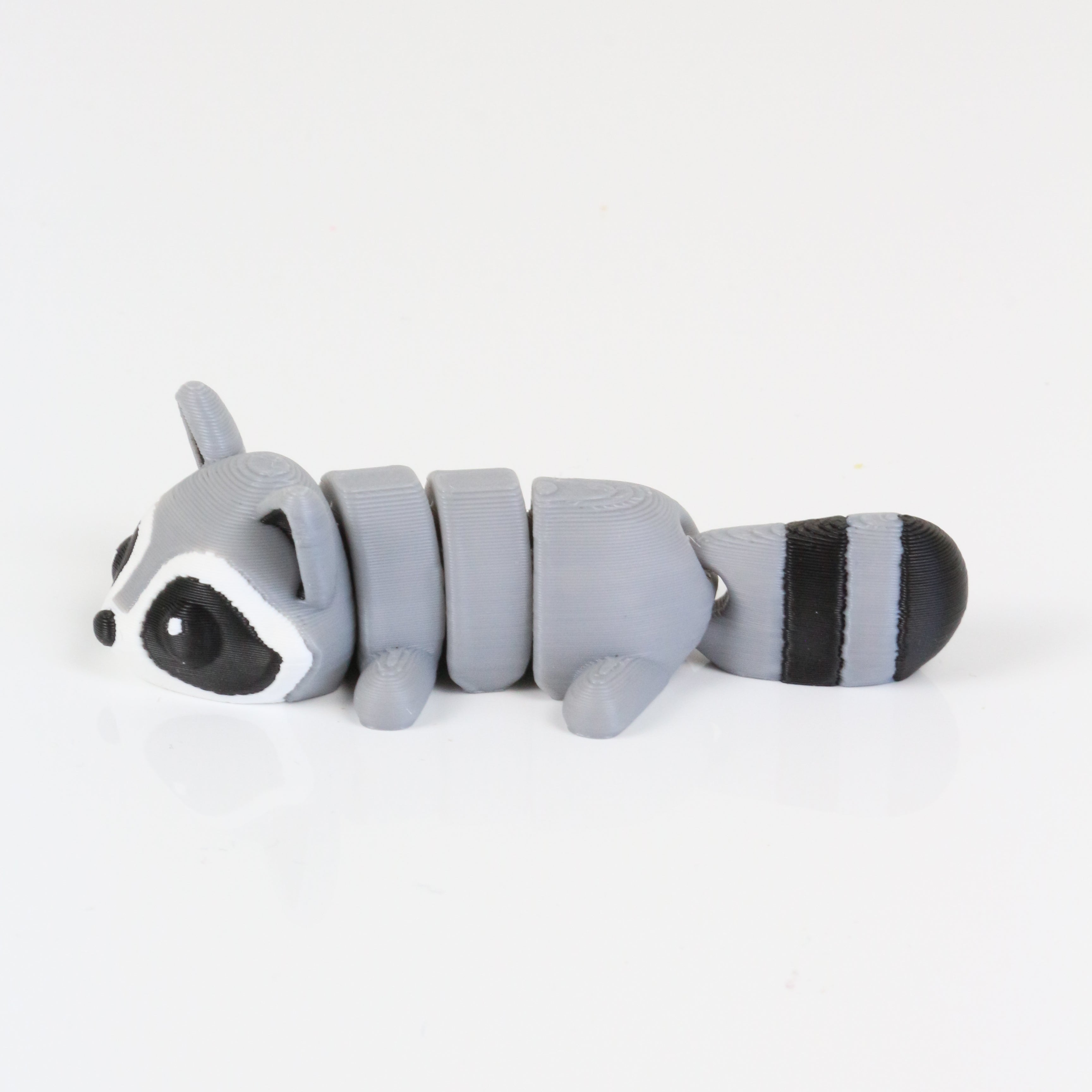 Rocco the Raccoon