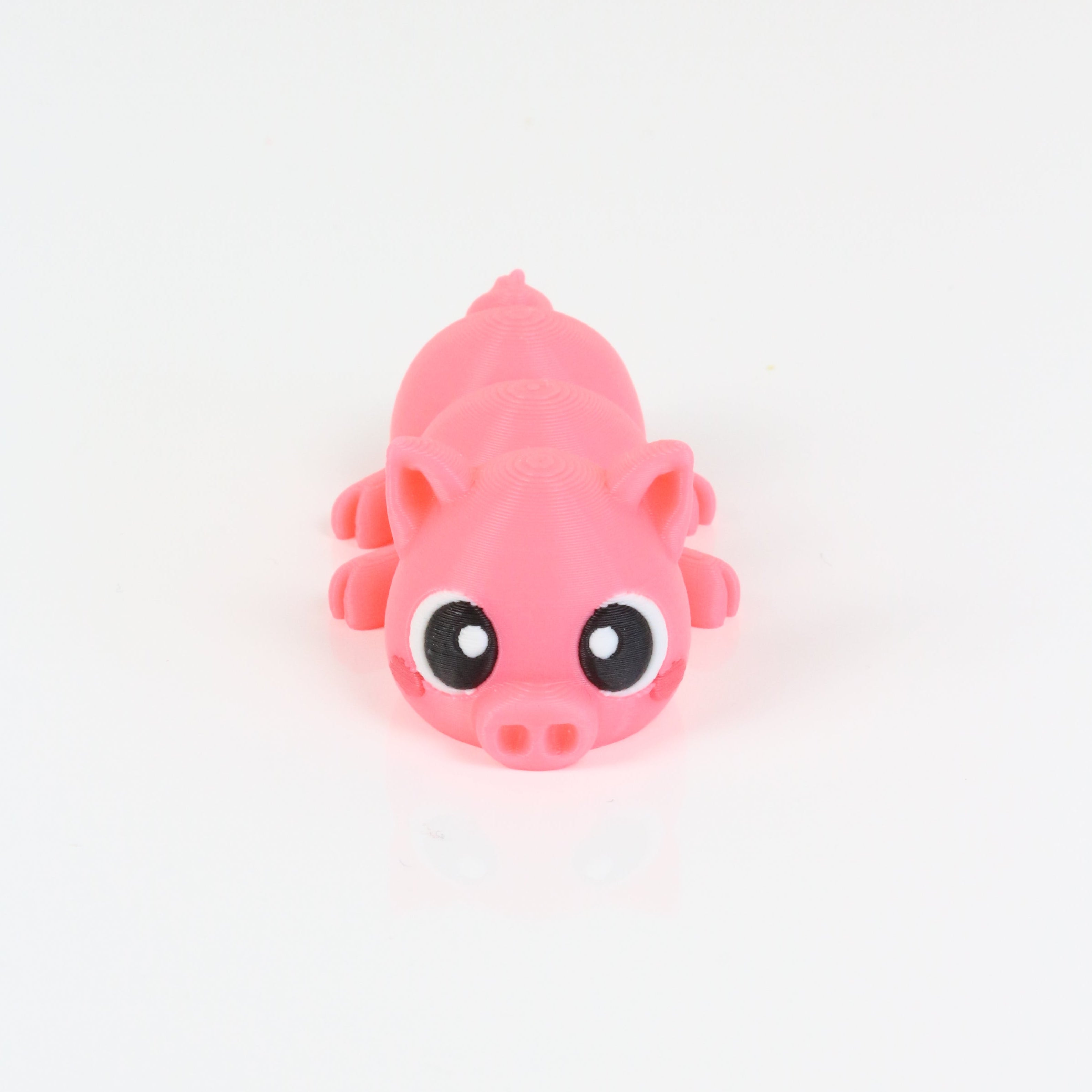 Patty the Pig