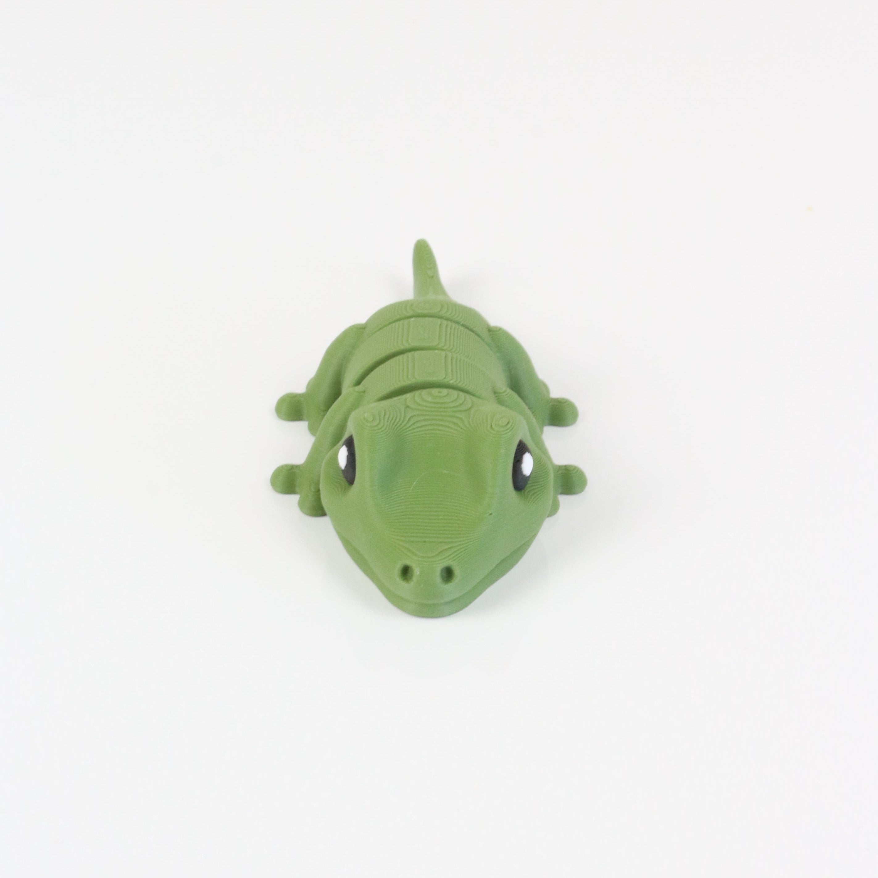 Gobi the Gecko