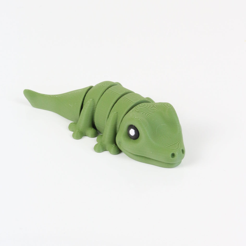 Gobi the Gecko