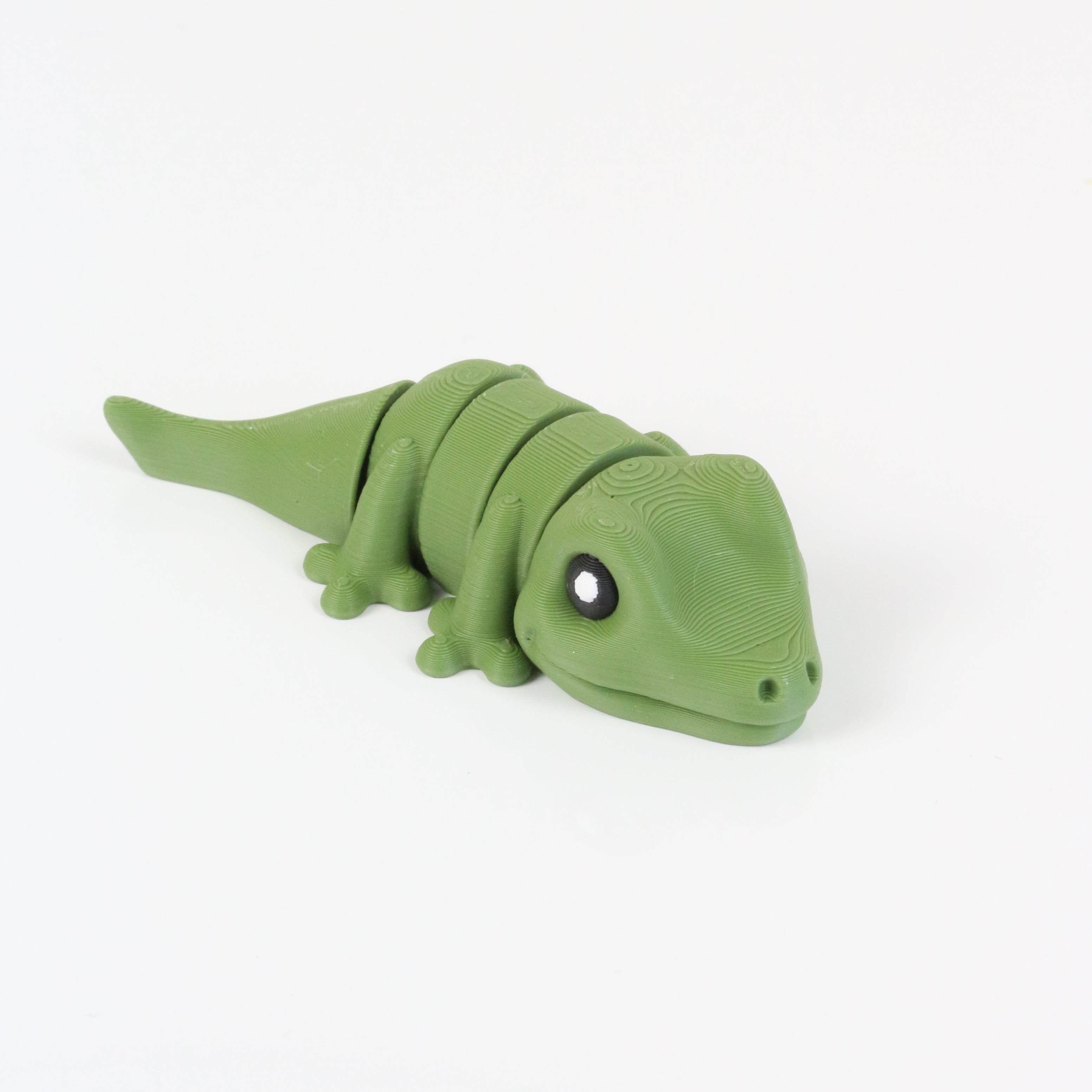 Gobi the Gecko