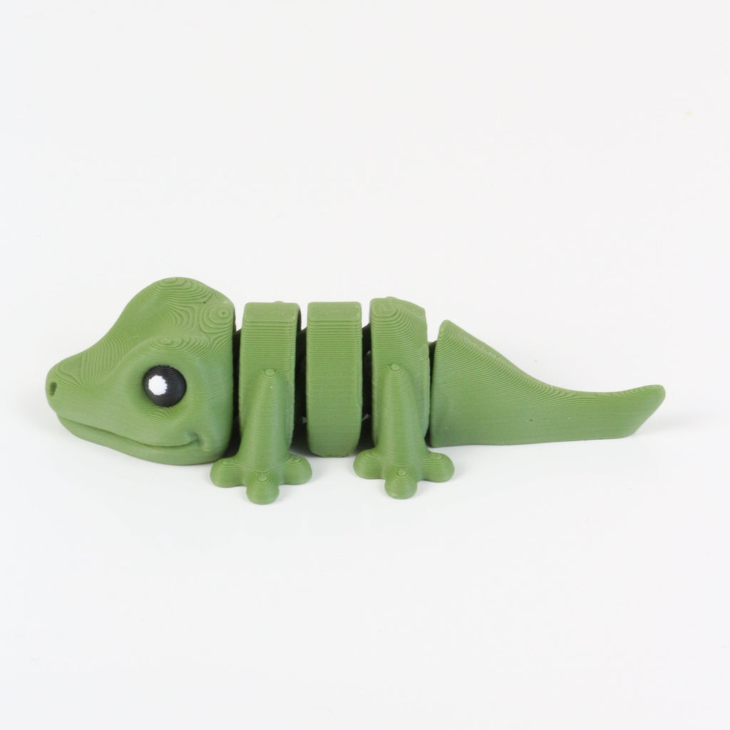 Gobi the Gecko