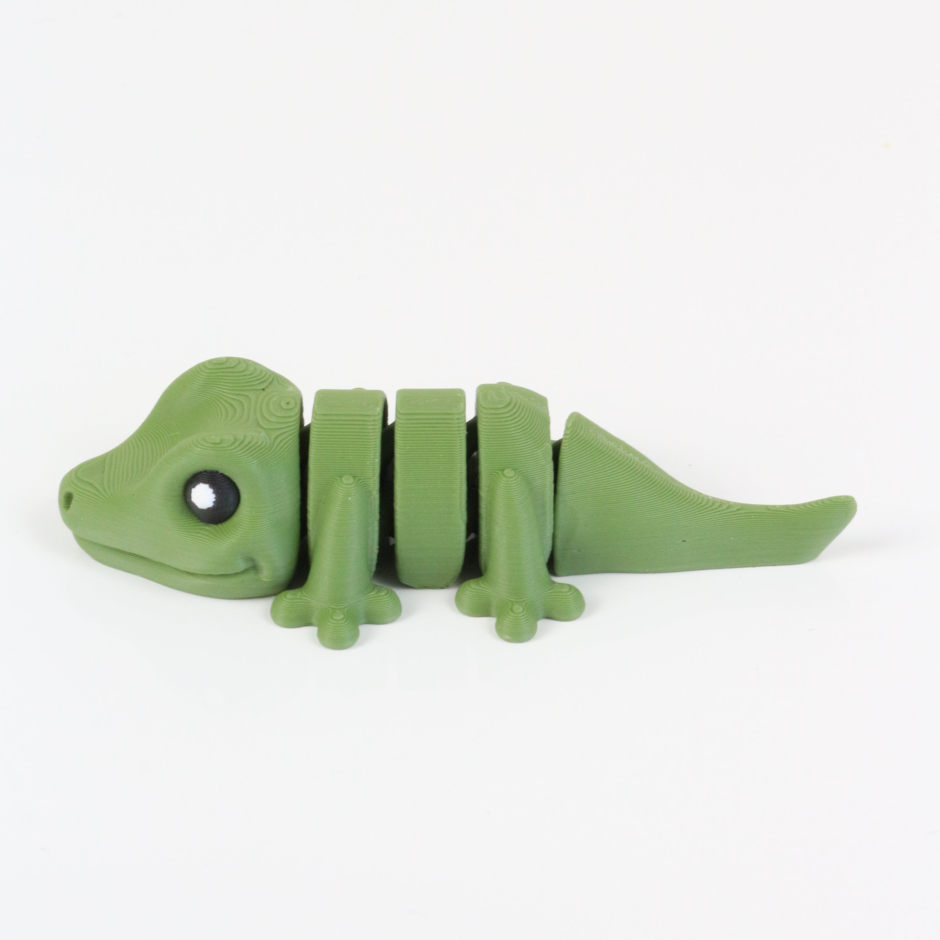 Gobi the Gecko