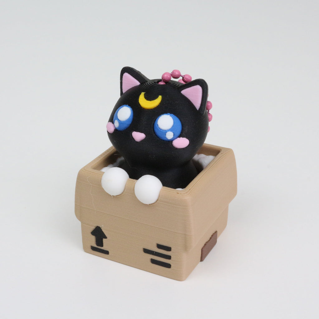 Kitty Tweekle